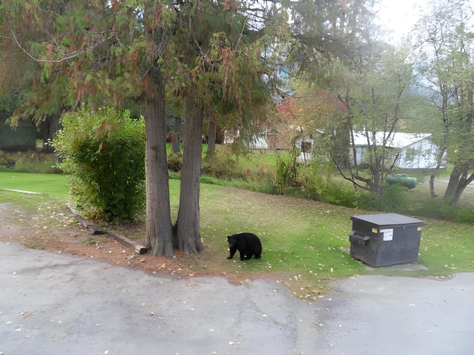 Others 5, The Hitching Post Motel, Squamish-Lillooet