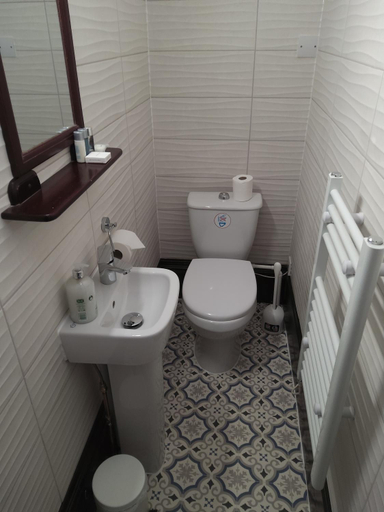 Bathroom, Tyr Graig Castle, Gwynedd
