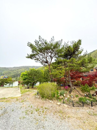Others 2, Danyang Maron Guest House Pension, Yeongwol