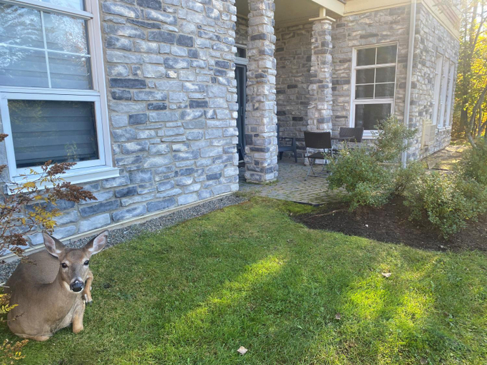 Others 4, Rental condo Tremblant-les-Eaux, Les Laurentides
