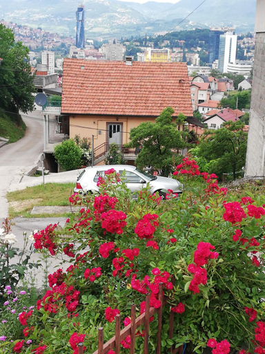 Scenery 4