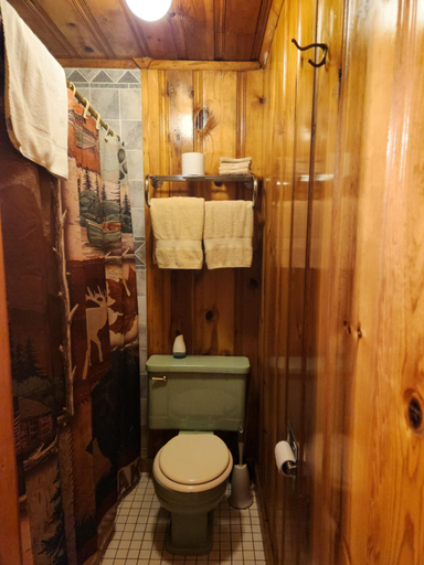 Bathroom 2, Eagle Nest Fly Shack & Lodge, Colfax