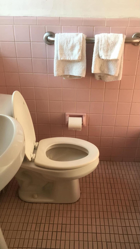 Bathroom 4, Dorchester Motel, Wayne
