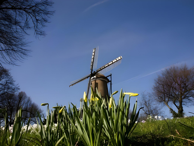 Others 3, Bed & Breakfast Prins Hendrik (Zuidschermer), Alkmaar
