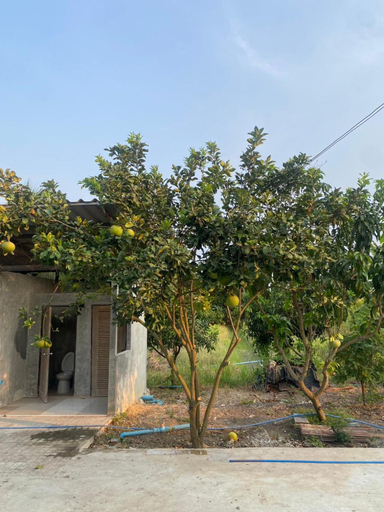 Garden 4, สวนชะลอม, Bang Bua Thong