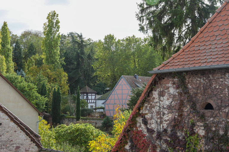 Boutique-Hotel im Sternenhof, Bad Dürkheim