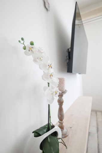 Others 3, Apartment Floresita, Zadar