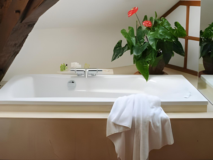 Bathroom 4, La Cote Saint Jacques, Yonne