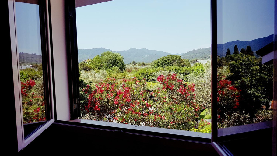 Scenery 2