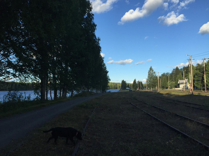Others 4, Gran Hotellihuoneistot 1, Central Finland
