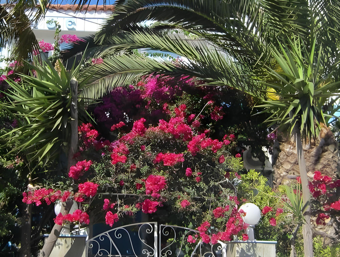 Others 5, Sandalis Hotel, North Aegean