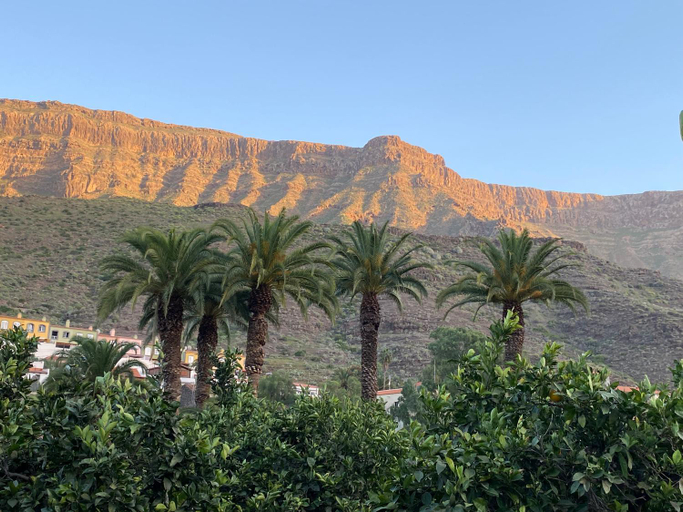 View, Finca Aquilino y Carmen, Las Palmas