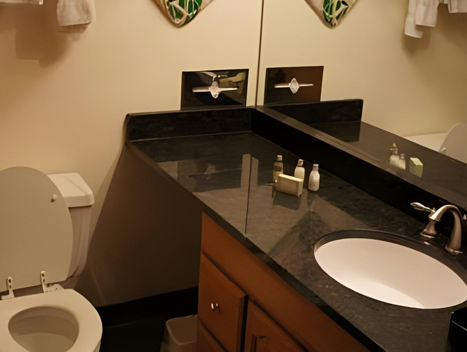 Bathroom 2, Waterbird Lakeside Inn, Porter
