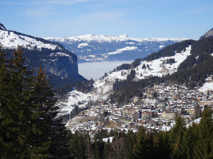 Others 5, Chalet Alpina Gyger, Interlaken