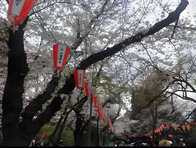 Exterior & Views, Cozy Ueno new Apart 203 (3~4 people) Room 203, new apartment near Ueno, Taitō