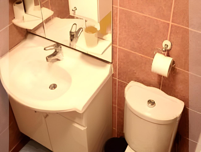 Bathroom 3, Balta Hotel, Merkez