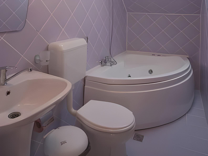 Bathroom 3, Casa Braneana, Bran