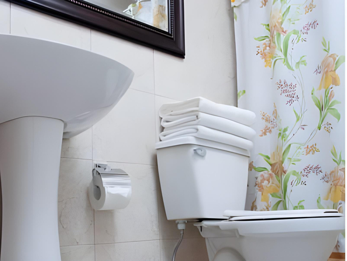 Bathroom 2, Apart Hotel Blumenau, Osorno
