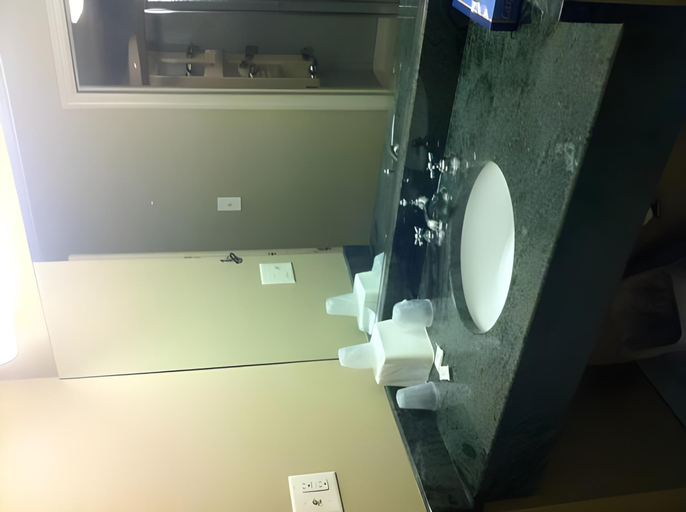 Bathroom 3, The Lincoln Motel, Philadelphia