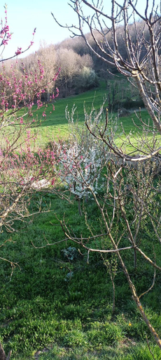Others 4, La Bergerie de Lavernhe, Aveyron