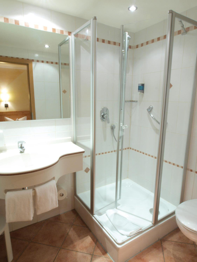 Bathroom 4, Gruner Baum Naturparkhotel & Schwarzwald-Restaurant, Lörrach