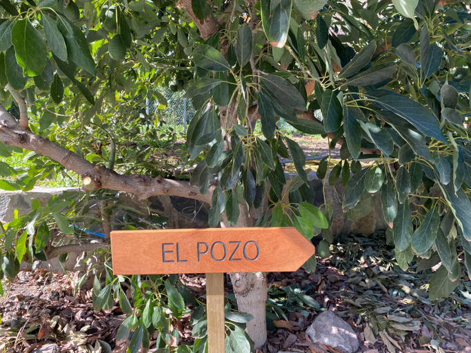 Garden 5, Finca Aquilino y Carmen, Las Palmas