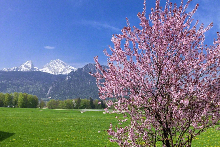 Others 5, Triembachhof, Berchtesgadener Land