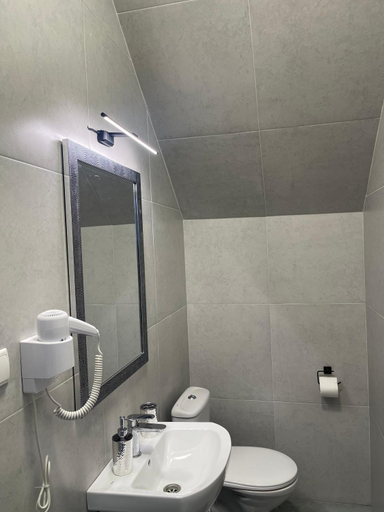 Bathroom 2, Hotel Femina, Zhytomyrs'ka