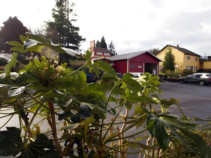 Exterior & Views 1, West Coast Motel on the Harbour, Alberni-Clayoquot