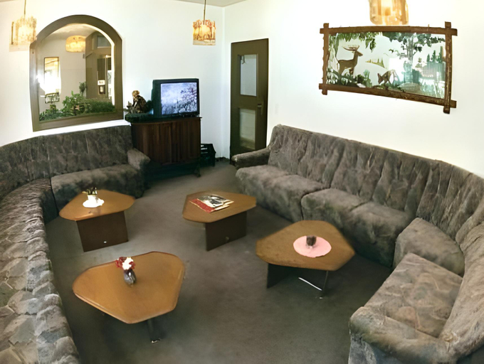 Public Area, Wellness- und Schneesporthotel Christiania, Visp