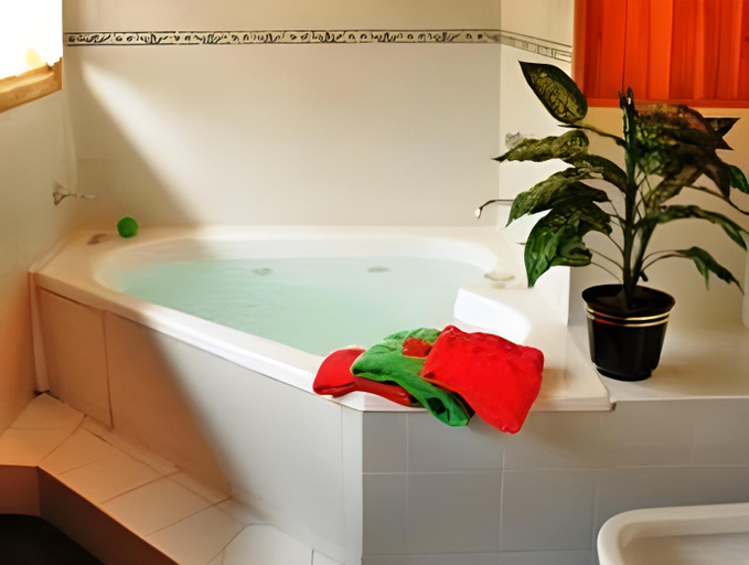 Bathroom 4, Apart Hotel del Pellin, Lacar