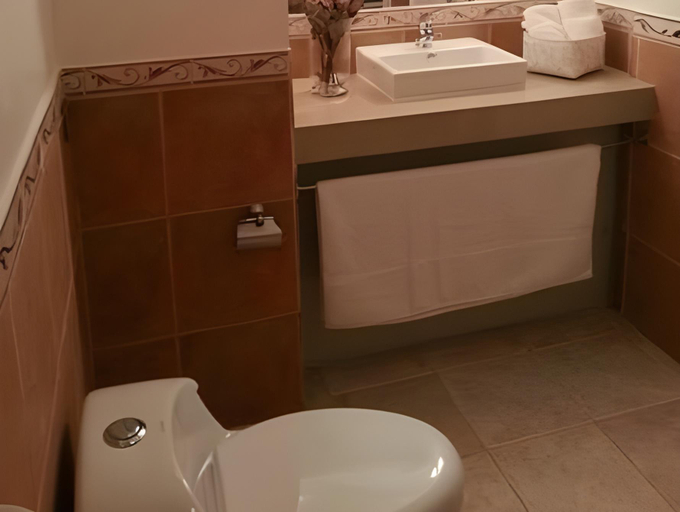 Bathroom 5, Atankalama, El Loa