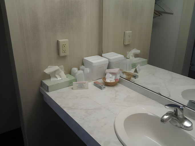 Bathroom 3, Colonnade Inn, Caledonia