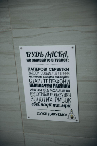 Others 3, Дбаилива Ципа, Mizhhirs'kyi