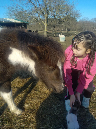 Others 4, eco nature, gite a la ferme, Gironde