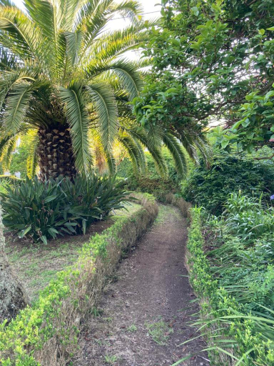 Others 4, Quinta das Palmeiras, Angra do Heroísmo