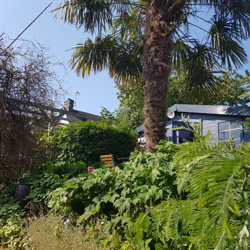 Others 3, LE jardin, Manche