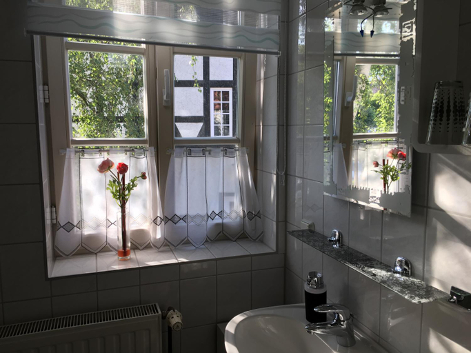 Bathroom 3, Haus Heinrich Heine, Harz