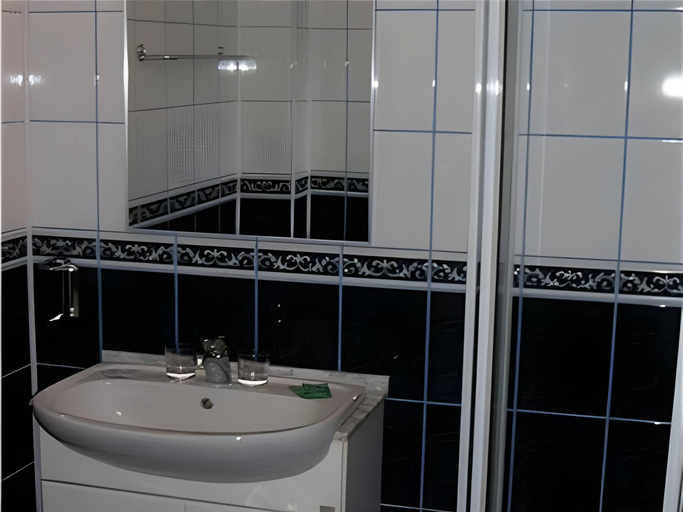 Bathroom 5, Pensiunea Imperial, Targu Mures