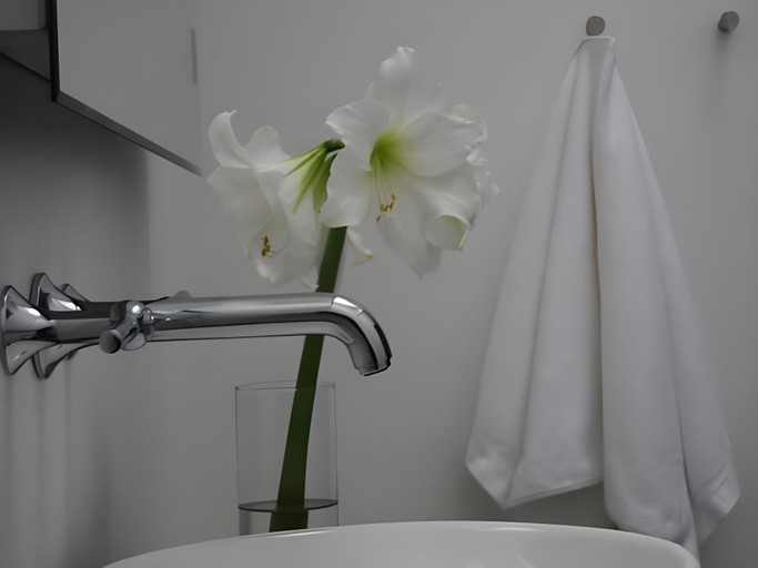 Bathroom 4, Rum og rooms, Samsø