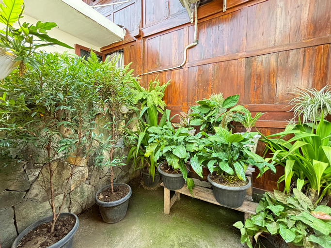 Scenery 19