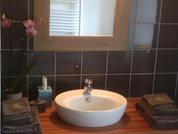 Bathroom 3, La Grange O Belles, Mayenne