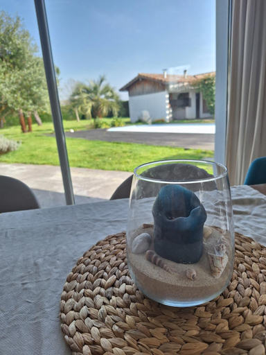 Food & Drinks 5, Le spot Landais - Chambre cote foret, Landes