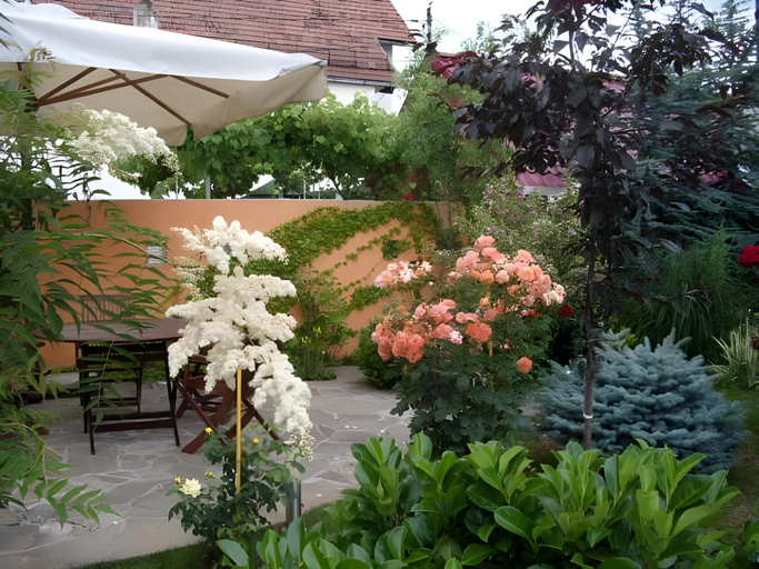 Others 5, Hotel Oasis, Brasov