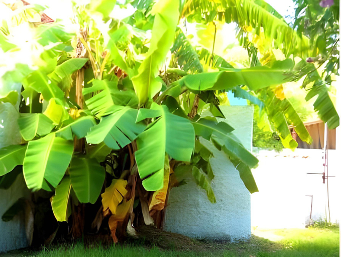 Others 3, Cabanas Virazon Aguas Dulces, n.a291