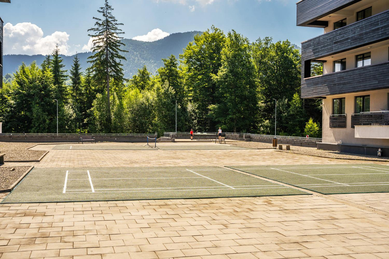 Others 4, SILVER MOUNTAIN - ANA'S Apartments, Brasov