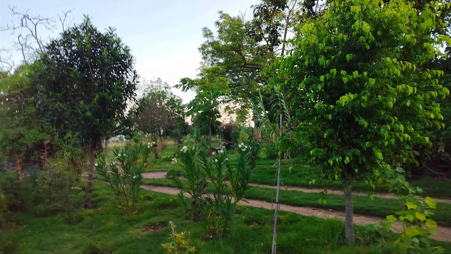 Others 4, Podocarpus cottages, Kieni