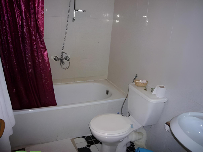 Bathroom 4, El Gezira Hotel, Luxor