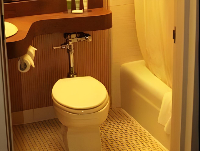 Bathroom 2, Unicoi State Park & Lodge, White