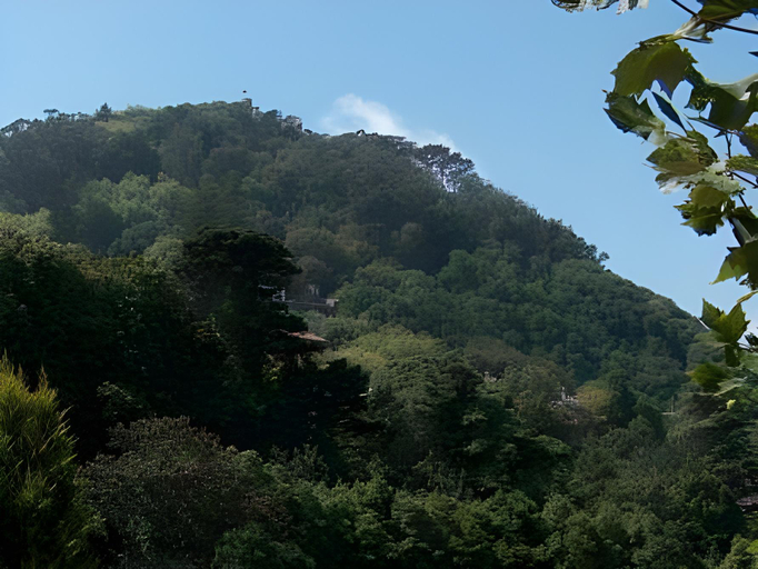 Others 5, Hotel Sintra Jardim, Sintra